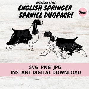 English Springer Spaniel American Style Dog 2-pack duopack Digital Download SVG JPG PNG Clipart