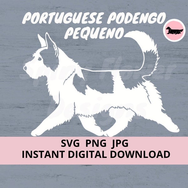 Portuguese Podengo Pequeno Dog Gaiting Digital Download SVG JPG PNG Clipart
