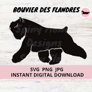 Op de afbeelding: Zwarte silhouet van een Bouvier des Flandres hondenras dat loopt. De afbeelding heeft de tekst "Bouvier des Flandres" bovenaan en "SVG PNG JPG DIRECTE DIGITALE DOWNLOAD" onderaan.