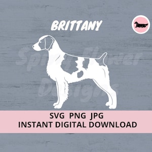 Brittany Dog Download digitale SVG JPG PNG Clipart