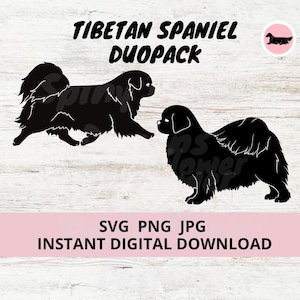 Tibetan Spaniel Dog 2-pack Duopack Digital Download SVG JPG PNG Clipart