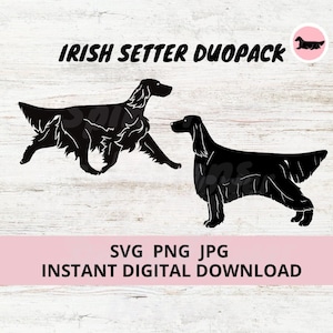 Irish Setter Dog Duopack 2-pack Digital Download SVG JPG PNG Clipart
