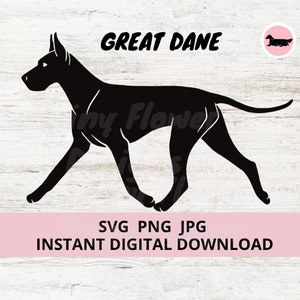 Great Dane Dog Gaiting Digital Download SVG JPG PNG clipart