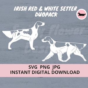 Ierse Rode en Witte Setter Duopack Hond 2-Pack Digitale Download SVG JPG PNG Clipart