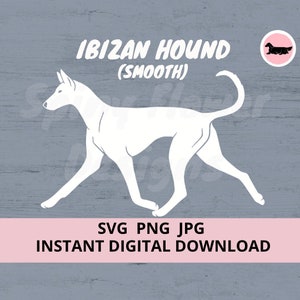 Ibizan Hound (Smooth) Dog gaiting Digital Download SVG JPG PNG
