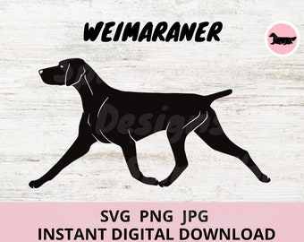 Weimaraner Dog Gaiting Digital Download SVG JPG PNG clipart