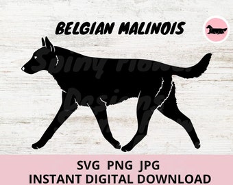Belgian Malinois Dog Gaiting Digital Download SVG JPG PNG Clipart