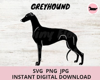 Greyhound Dog Standing Digital Download SVG JPG PNG clipart
