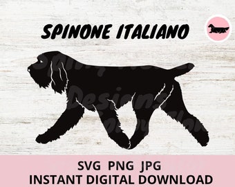 Spinone Italiano Dog Digital Download SVG JPG PNG Clipart