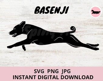 Basenji Dog lure coursing running Digital Download SVG JPG PNG