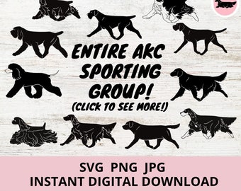 Entire AKC Sporting Group Gaiting Bundle of 150 Files!! Instant Digital Download SVG jpg png
