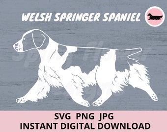 Welsh Springer Spaniel Dog Gaiting Digital Download SVG JPG PNG Clipart