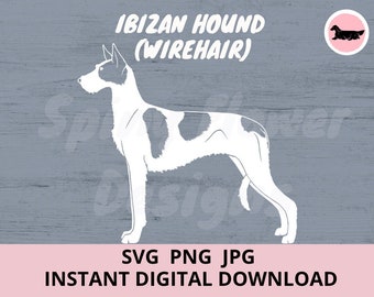 Ibizan Hound (Wirehaired) Dog Digital Download SVG JPG PNG