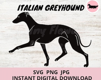 Italian Greyhound Dog Gaiting Digital Download SVG JPG PNG Clipart