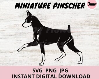 Miniature Pinscher Dog Gaiting Digital Download SVG JPG PNG Clipart