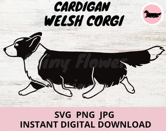 Cardigan Welsh Corgi Dog Gaiting Digital Download SVG JPG PNG Clipart