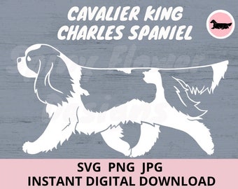 Cavalier King Charles Spaniel Dog Gaiting Digital Download SVG JPG PNG clipart