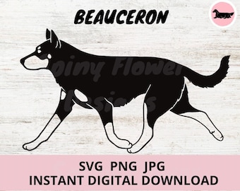 Beauceron Dog Gaiting Digital Download SVG JPG PNG Clipart