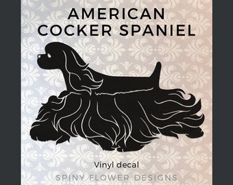 cocker spaniel accessories
