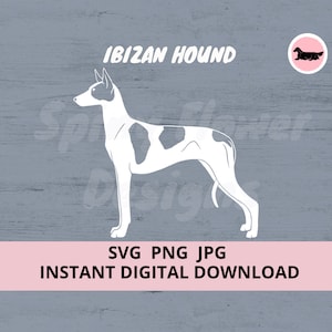 Ibizan Hound (Smooth) Dog  Digital Download SVG JPG PNG