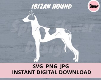 Ibizan Hound (Smooth) Dog  Digital Download SVG JPG PNG