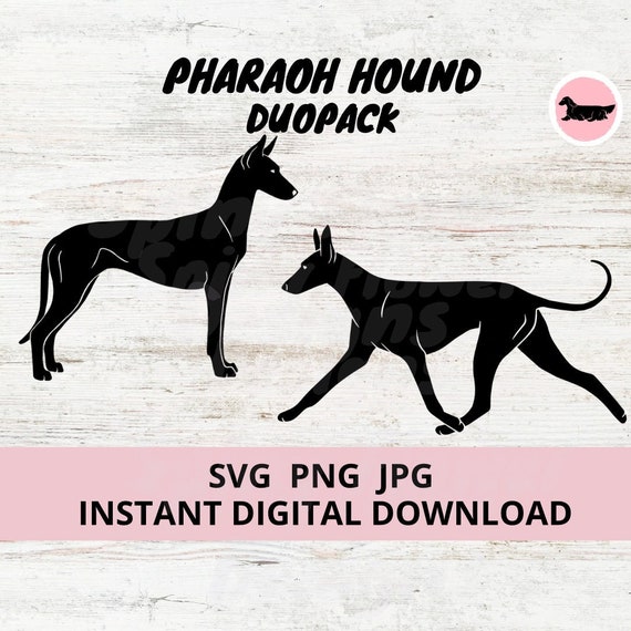 Pharaoh Hound Dog Pack Duopack Digital Download SVG JPG PNG