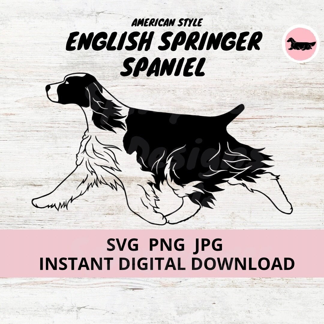 English Springer Spaniel American Style Dog Gaiting Digital