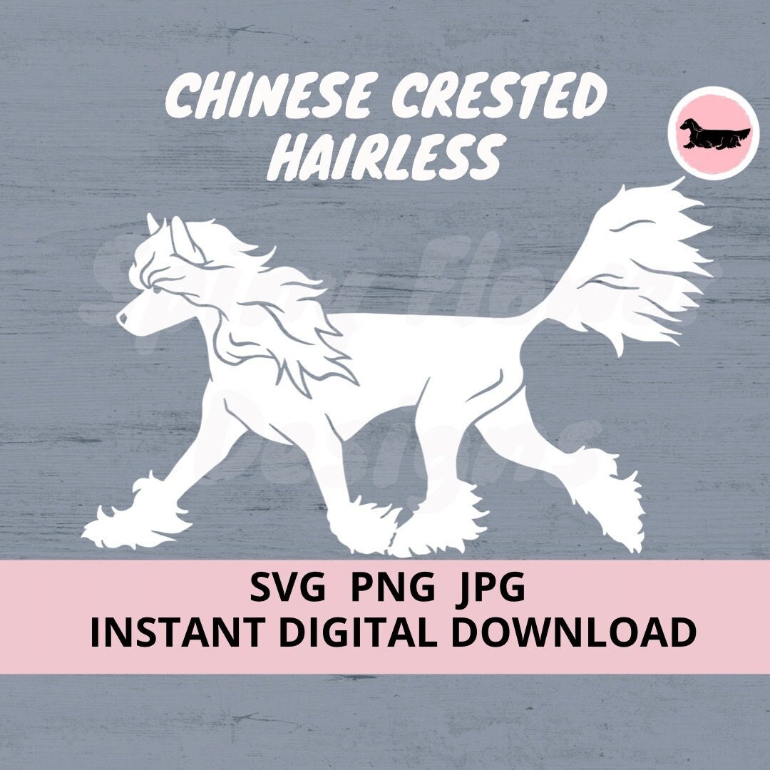 Chinese Crested (Hairless) Dog Gaiting Digital Download SVG JPG PNG Clipart