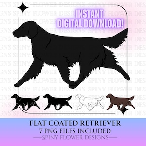 Perro retriever de pelo liso trotando y andando Descarga digital Clipart Archivo PNG