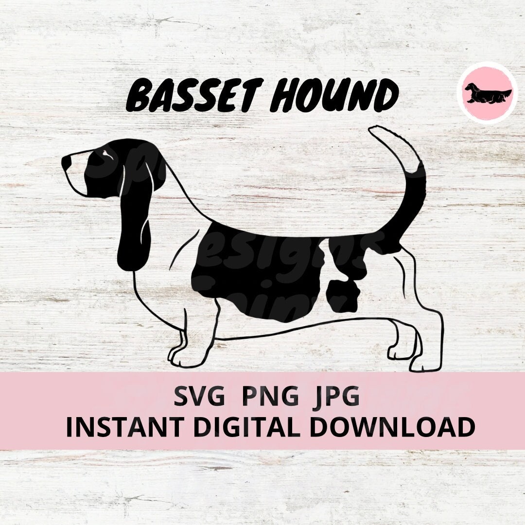 Basset Hound Perro Descarga Digital SVG JPG PNG España