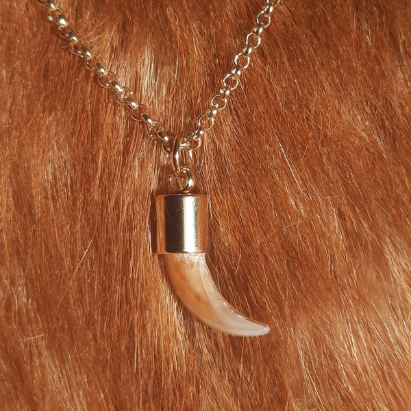 Real Red Fox Claw Pendant Necklace, Gold Plated, Bohemian Style Jewelry, Boho Chic