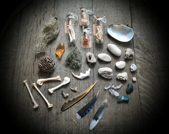 Natural Finds Mystery Curiosity Lot, Bones/Feathers/Stones/Dried Mushroom and Lichen, Goblincore/Vulture Culture Gift, Osteomancy