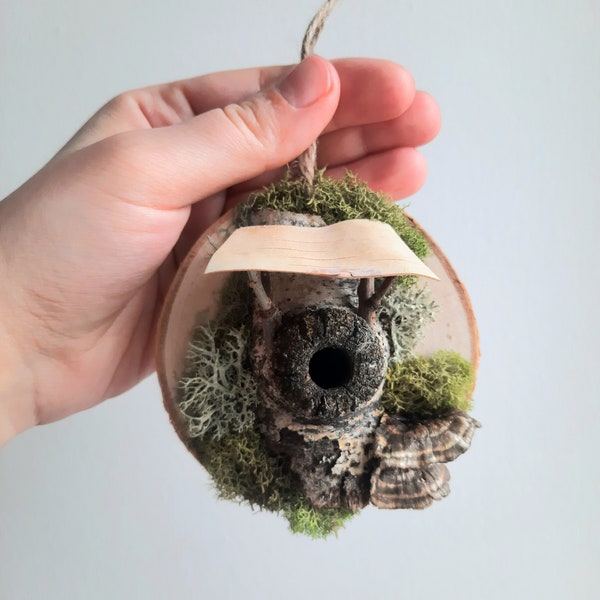 Small Fairy Fae House Natural Wall Home Decor, Wood, Green Moss, Mushroom, Cottagecore, Whimsical