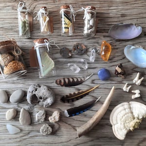 Peut inclure: Une collection de petits bocaux en verre remplis de divers objets naturels, notamment des plumes, des coquillages, des cristaux et des fleurs séchées. Les bocaux sont disposés sur une surface en bois avec d'autres objets naturels, tels que des pierres, des bois de cerf et un champignon.