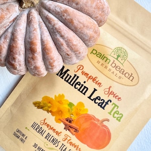 Pumpkin Spice Mullein Leaf Tea - Seasonal Flavors - Herbal Blends Tea Series by Palm Beach Herbals (30 Tea Bags) 100% Natural