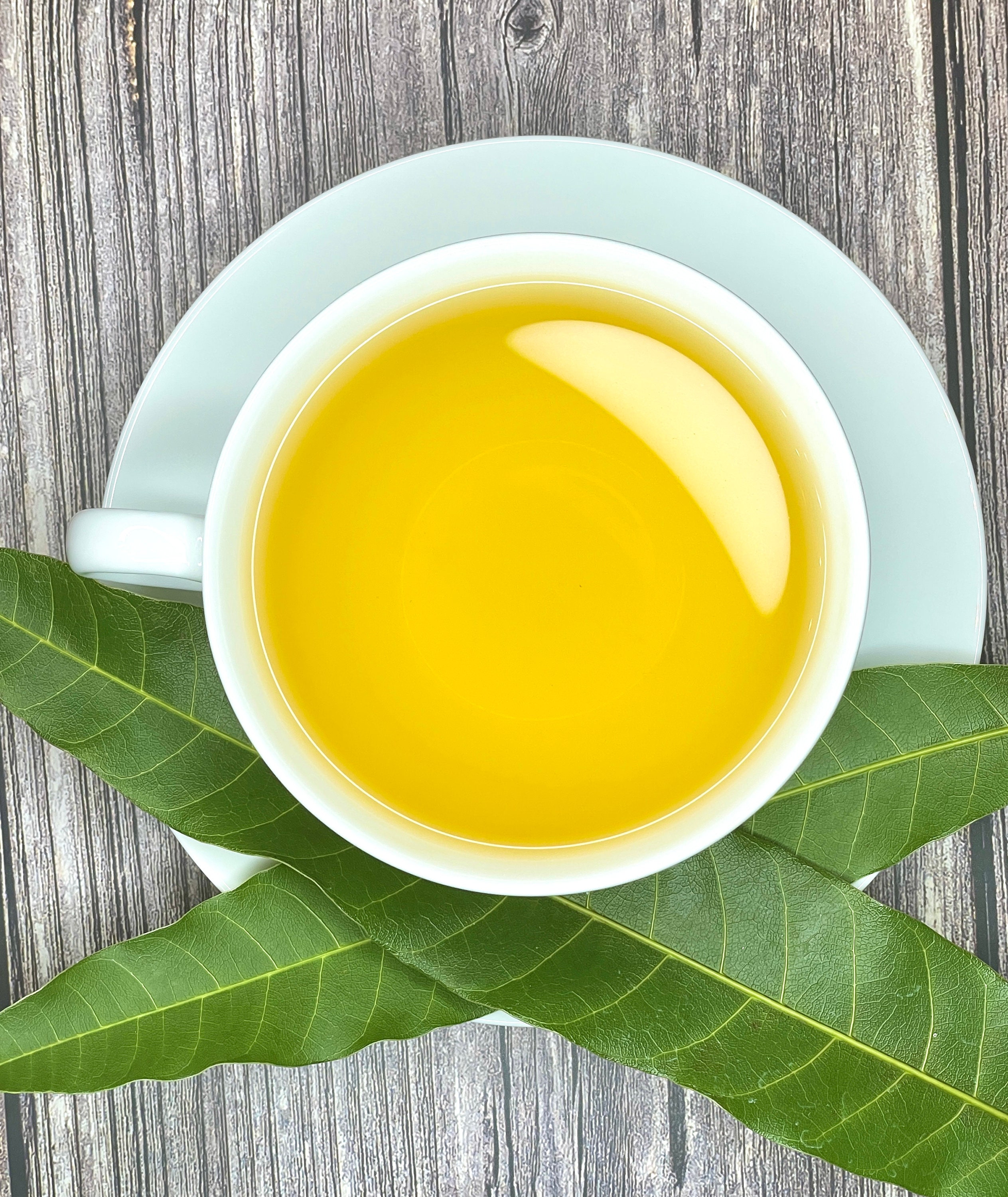 Mango Leaf Tea Pure Herbal Tea Series by Palm Beach Herbals Etsy