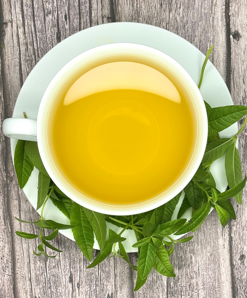 Lemon Verbena Tea Pure Herbal Tea Series by Palm Beach Herbals 30 Tea Bags 100 Natural Etsy