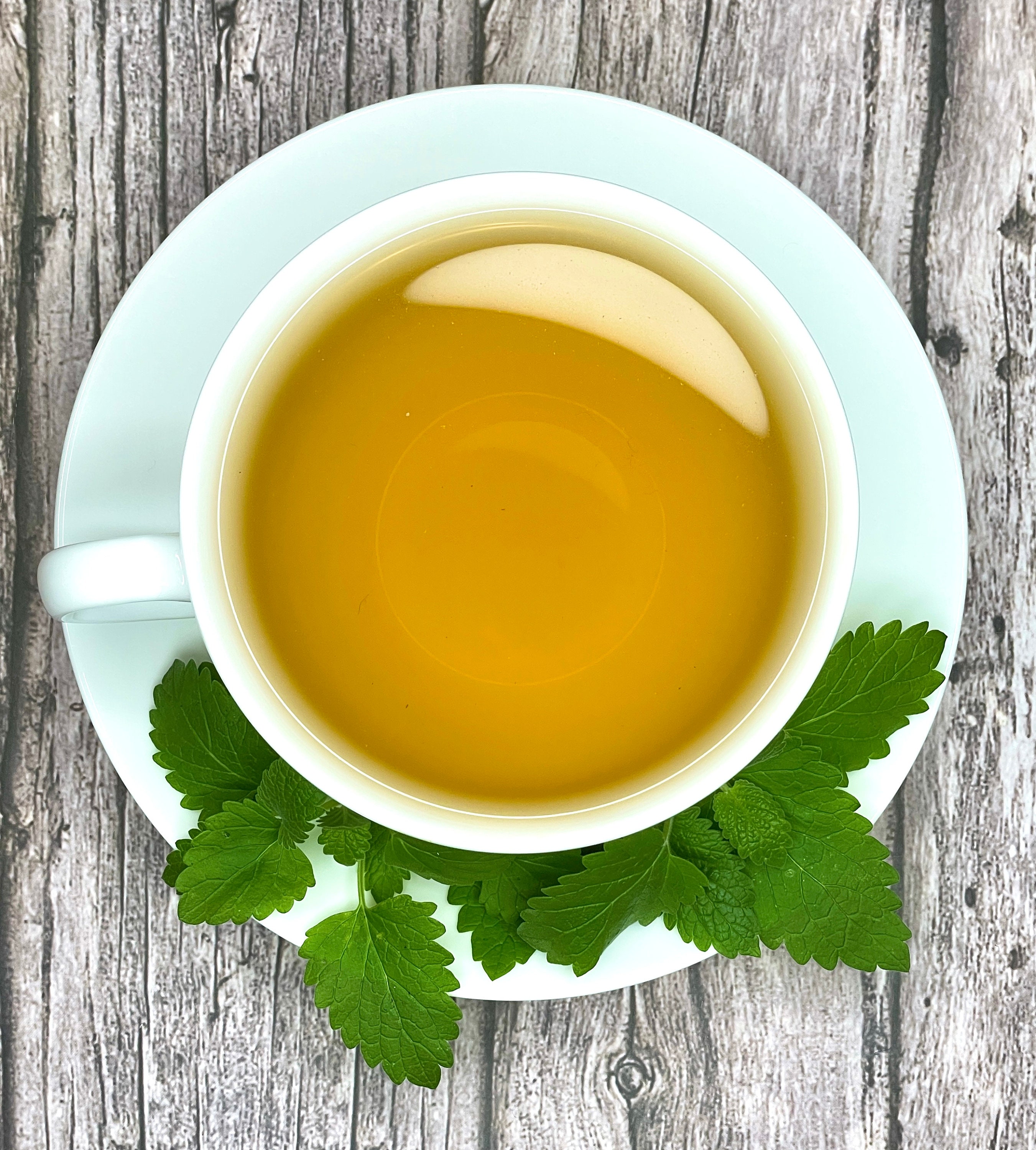 Catnip Tea by Palm Beach Herbals, 30 Count Tea Bags, Caffeinefree Pure