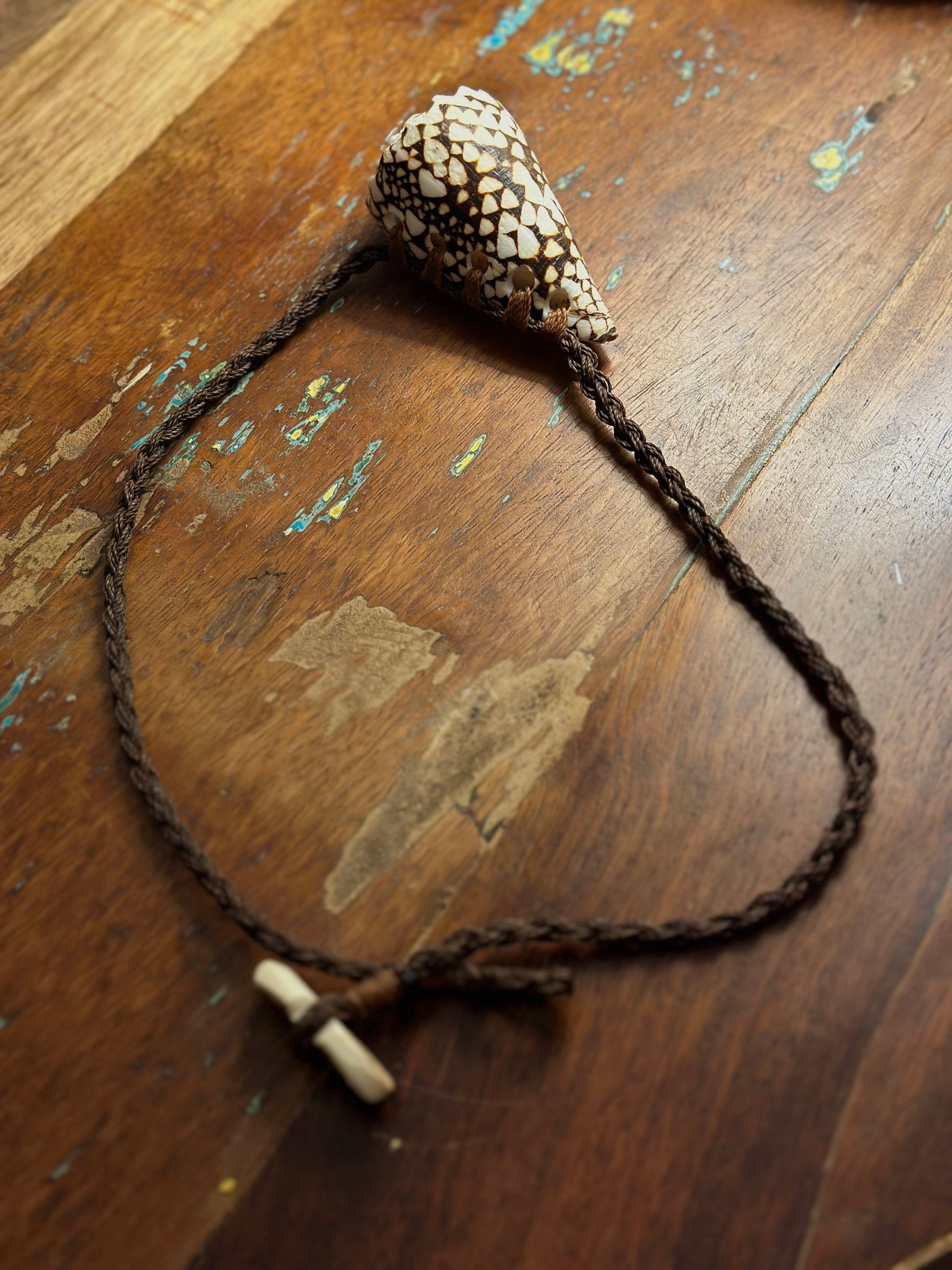 Hawaiian Banded Marble Cone Shell XL Men's or Women's - Etsy