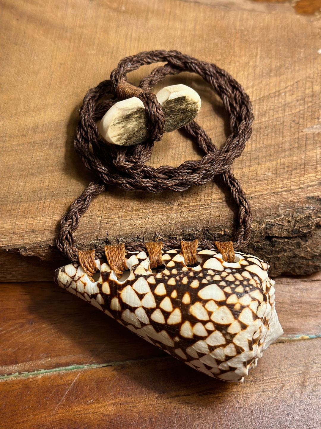 Hawaiian Banded Marble Cone Shell XL Men's or Women's - Etsy