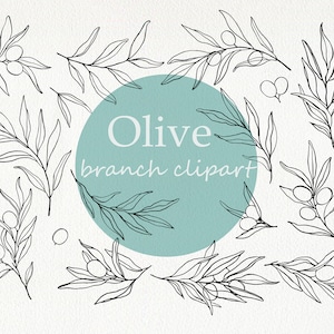Olive clipart Olive Branch set Olives Line Art Botanical leaves illustrations