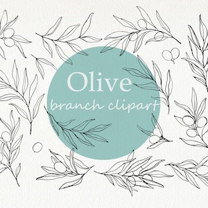 Fresh/dry Olive Branches Olive Branch Olive Branch Decor 