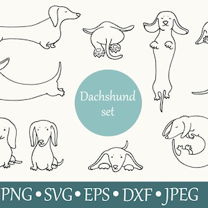 Dachshund regalo / Dachshund svg files / Perro svg / Dachshund Vector / Dachshund cricut / Salchicha perro svg