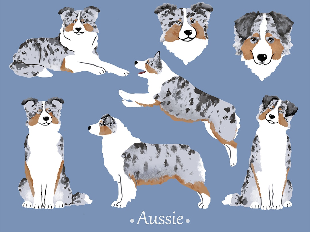 Australian Shepherd Dogs Png Aussie Dog Clipart - Etsy