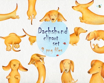 Dachshund gift Watercolor dog clipart Dachshund png files Sausage dog illustration Dachshund clipart instant download