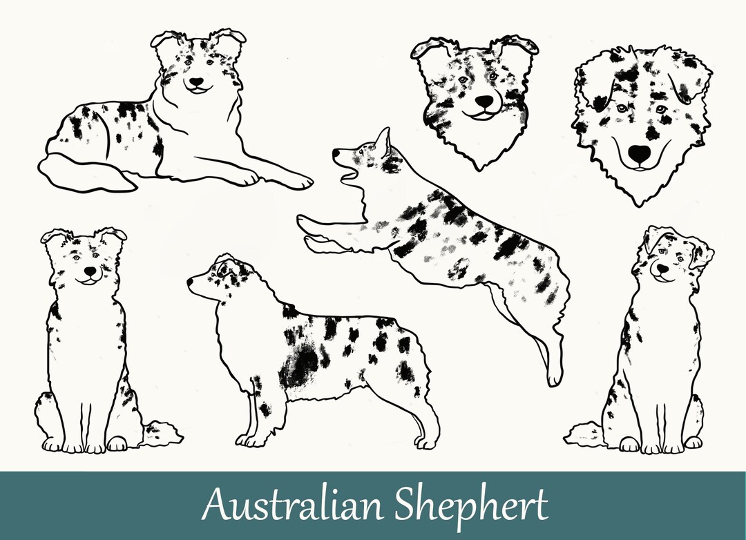 Australian Shepherd Dog Png Files Aussie Dogs Aussie Silhouette - Etsy