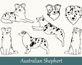 Australian Shepherd dog png files Aussie dogs Aussie silhouette