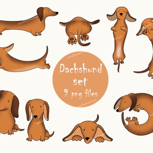 Dachshund dogs digital Png Jpeg files PNG Elements for Notebooks Journals Cardmaking Scrapbooking Dachshund clipart digital print