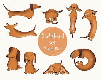 Dachshund dogs digital Png Jpeg files PNG Elements for Notebooks Journals Cardmaking Scrapbooking Dachshund clipart digital print