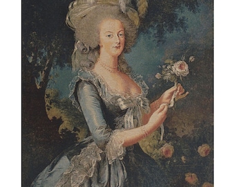 Marie Antoinette Portrait European Wall Tapestry - Young Lady Decorative Wall Hanging - Fine Art Belgian Wall Tapestry - Woven Wall Art